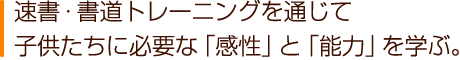 速書・書道トレーニングを通じて子供たちに必要な「感性」と「能力」を学ぶ。